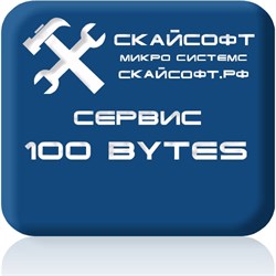 Сервисный пакет 100 bytes - фото 3574