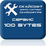 Сервисный пакет 100 bytes