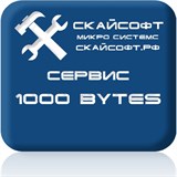 Сервисный пакет 1000 bytes